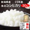 米 30kg 送料無料 新潟県魚沼 コシヒカリ 1等玄米 クーポンで500円引き