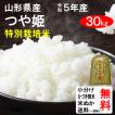 米 30kg 送料無料 山形県 特別栽培米 つや姫 2等玄米 クーポンで500円引き