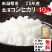 米 10kg 送料無料 新潟県魚沼 コシヒカリ 1等玄米 クーポンでさらにお得