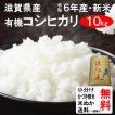 米 10kg 送料無料 滋賀県 有機コシヒカリ 1等玄米 クーポンでさらにお得