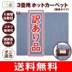 訳あり品 ホットカー...