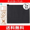 ホットカーペット(電...