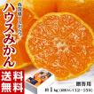 佐賀県産 JAからつの...