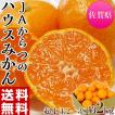 みかん 佐賀県産 JAか...