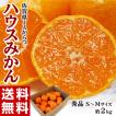 佐賀県産 JAからつの...