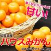 《送料無料》JAからつ...