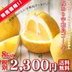 (W傷ゴ 08)傷あり 宇...