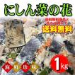 にしん 菜の花 1kg おいしい 海鮮珍味【さっぱり上品な味わいです。 箸休め、酒の肴に最適】【冷凍便】