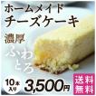 チーズケーキ ケーキ チーズ スティックチーズケーキ10本セット 鹿児島県産