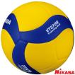 ミカサ バレー 重いボール 370g メディシンボール 5号球 VT370W トレーニング用