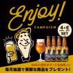 Enjoy Voyager Set (4種類各1本＋オリジナルグラスE＋ENJOYステッカー）地ビール クラフトビール 飲み比べセット　　