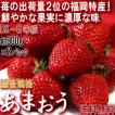 あまおう いちご 約30...