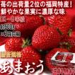 あまおう いちご 約60...