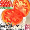 トマト 産地厳選 千葉...