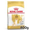 ロイヤルカナン（ROYAL CANIN） 犬 柴犬 8kg ドッグフード 成犬用