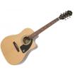 EPIPHONE(エピフォン)...