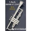 Bachバック　トランペット　LT190SL1B SP Commercial V.Bach COMMERCIAL LT190SL1B【お取り寄せ】【新品】【トランペット