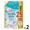 ソフラン アロマリッチ サラ 詰め替え 特大 950ｍL 1セット（2個入） 柔軟剤 ライオン【1200ｍL→950ｍLへリニューアル】