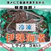 海老の王様が年中新鮮！活〆冷凍伊勢海老