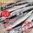 IQF冷凍サンマ・さんま・秋刀魚　“超特大”　160〜180ｇ　23尾（3.7〜4.0ｋｇ）
