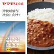 カレー ヤマモリ 2050年カレー キーマ 中辛 キーマカレー 大豆のお肉 大豆ミート レトルトカレー カレーセット ギフト プレゼント 誕生日 母の日