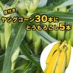 期間限定販売 きみひめ皮付ヤングコーン30本+きみひめ5本 スイートコーン 旬果市場 ベビーコーン BBQ お取り寄せ 甲府の証