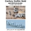 表札　戸建て表札　切り文字　ステンレス切り文字４ｍｍ厚　ステンレス切り文字表札　書体【Century Gothic Bold】おしゃれな切り文字