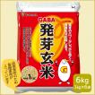 発芽玄米 国産 GABA 玄米 6kg （1kg×6） 1ケース 健康 美容 敬老の日 お中元 お歳暮 ギフト お米 米 うるち米