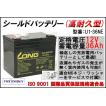 【高耐久タイプ】12V...