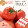 トマト 約2kg 予約受...