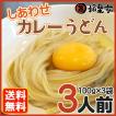 送料無料 半生 讃岐うどん カレーうどん 3人前 100g×3 つゆ付 ポスト投函 ゆらくやオリジナル 香川県 讃岐 巣ごもり 在宅 応援 支援