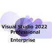 Microsoft Visual Studio Professional/Enterprise 20...