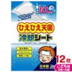 白金製薬 冷却シート10時間大人用30箱入り(16枚x30箱＝480枚)ひえひえ