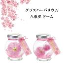 海外への日本土産にもおすすめ！桜モチーフの雑貨を教えて！