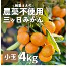 三ヶ日 みかん 位田さんの農薬不使用三ヶ日みかん 小玉 4kg  極...