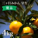 三ヶ日みかん 早生 4kg 優品相当 ミックスサイズ 農家直送 わせ...