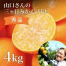 三ヶ日みかん 早生 4kg S〜LLミックスサイズ 秀品相当 わせみか...
