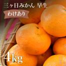 訳あり 三ヶ日みかん 早生 4kg 産地直送 わせみかん 三ケ日 温州...