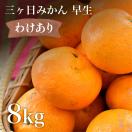 訳あり 三ヶ日みかん 早生 8kg 産地直送 わせみかん 三ケ日 温州...