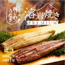 うなぎ 浜名湖産 国産 朝じめうなぎ 溶岩焼き 蒲焼き2尾 白焼き1...
