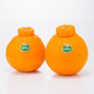 【予約商品】熊本県産 デコポン 温室栽培（加温）タイプ 大玉サ...