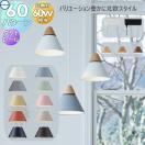 ペンダントライト A-Pendant ダクトレール用 特注対応品  照明 おしゃれ コイズミ...