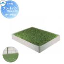 プレートパン     MELS(メルズ) ライトグレー（人工芝付き）  水受けのみ  埋め込...