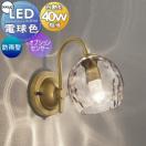 ポーチライト OG264239LCR1 ガラス（透明） LED 電球色 白熱灯40W相当 防雨型 別売...