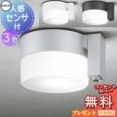 ポーチライト OG254987LCR OG254987NCR OG254988LCR OG254988NCR OG254989LCR OG25...