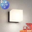 ポーチライト 防水パッキンレスタイプ OG254799LCR 黒色 人感センサー モード切替...