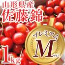 プレミアムMサイズ！＜減農薬・有機肥料使用●高糖度！特秀・秀混合●Mサイズ以上＞山形産高級朝摘みさくらんぼ佐藤錦 [化粧箱入り] バラ詰め　1kg＜送料無料＞ 