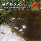 活ヒラメ 捌いてお届けします ...