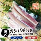 活〆カンパチ 片身 スキンレス...