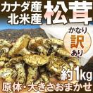 カナダ・北米産 ”松茸” かなり訳あり 約1kg 原体 大きさおまかせ 